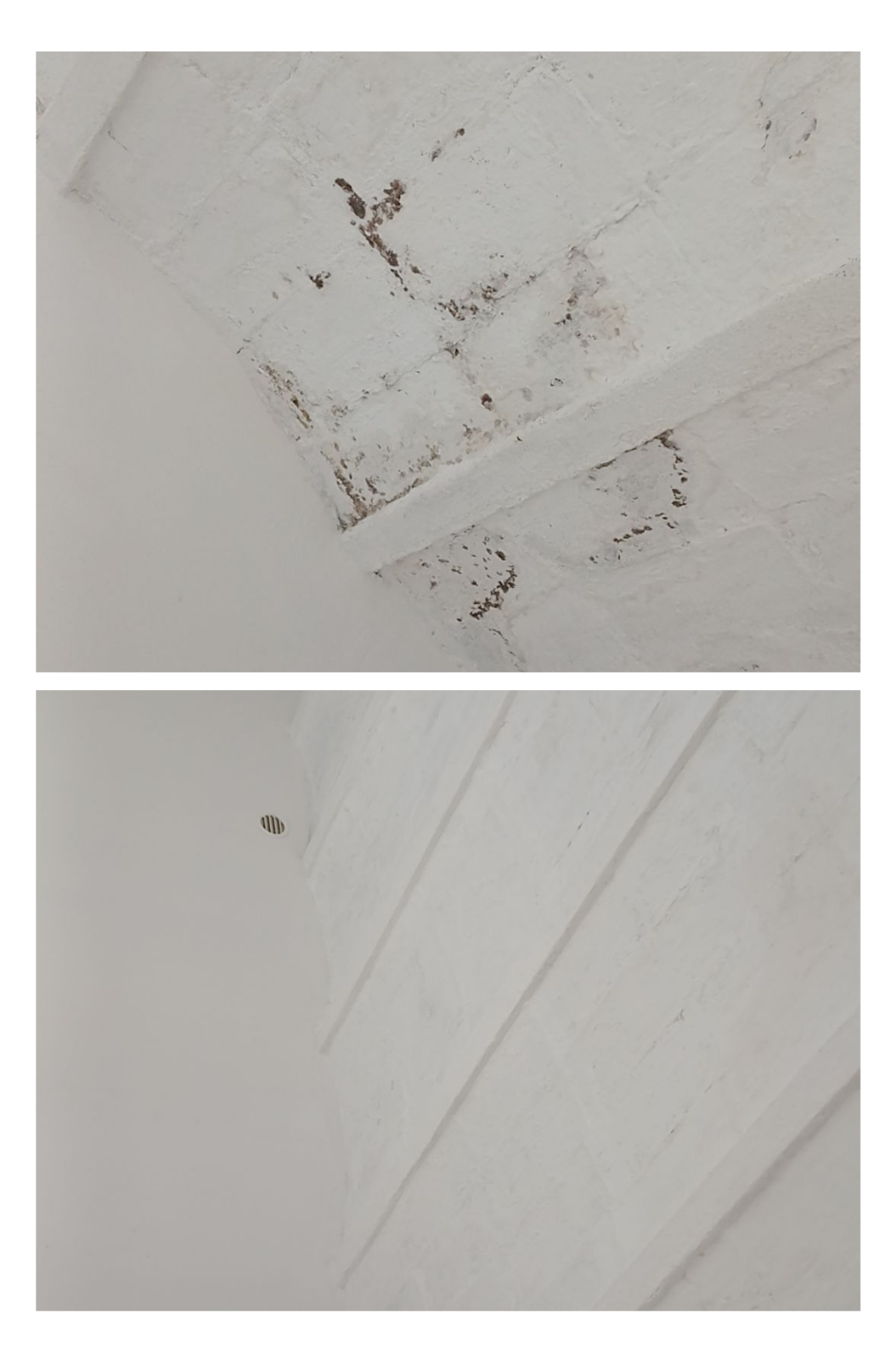 Rénovation plafond d'un local traitement anti-humidité & Peitnure anti-humidité 